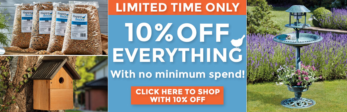 10% OFF EVERYTHING + FREE DELIVERY!